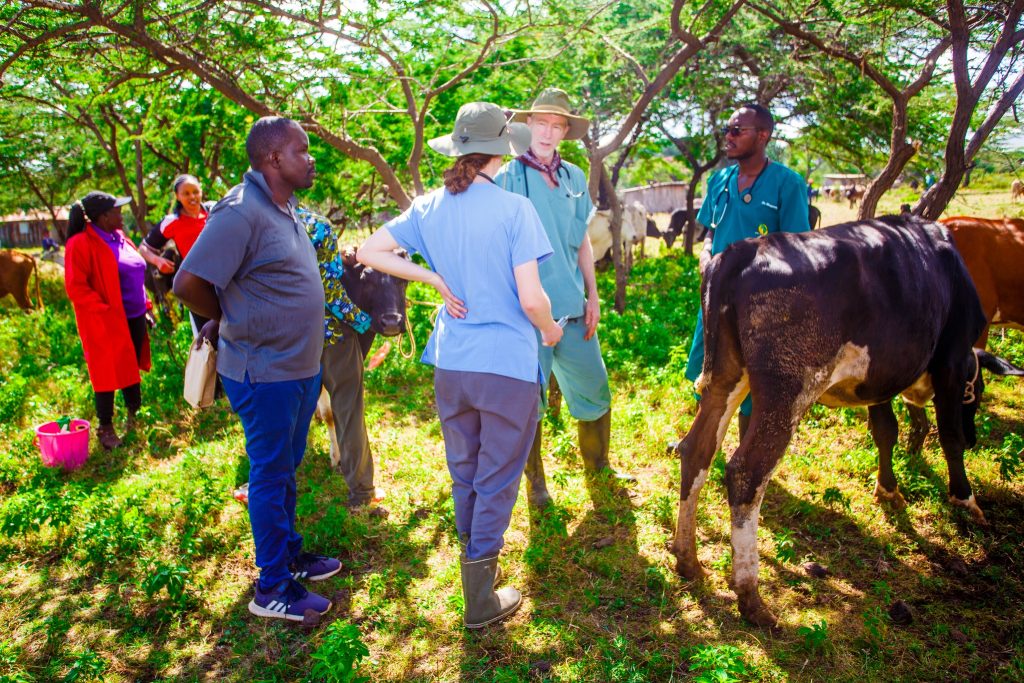 Top Photography & Videography services in Nairobi, DRC – Oramedia – THE BIG PICTURE