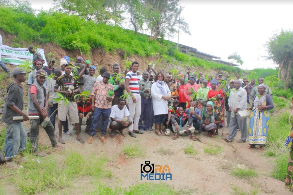 TeamGoGreenGoCrazy in Taita Taveta - Tree Planting 2022